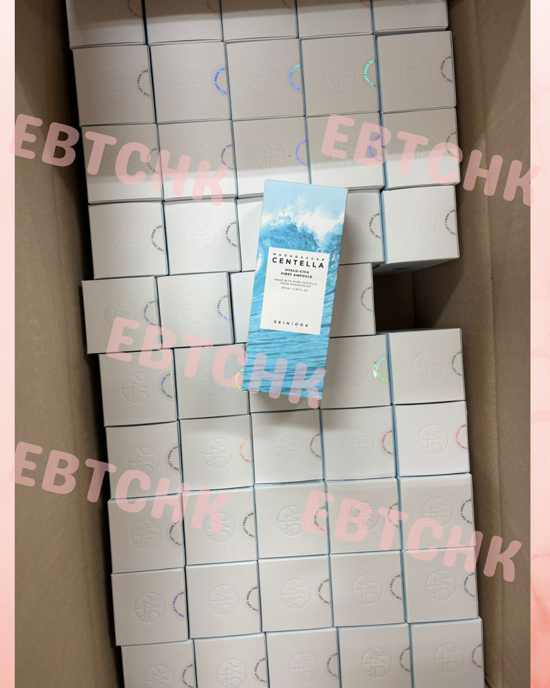 【24小時網站自助下單】現貨🌸SKIN1004 ⭐️ 馬達加斯加積雪草玻尿酸精華🐬100ml | 落單後約3-5個工作天寄出 娉婷貿易公司 Exquisite Beauty Trading Company