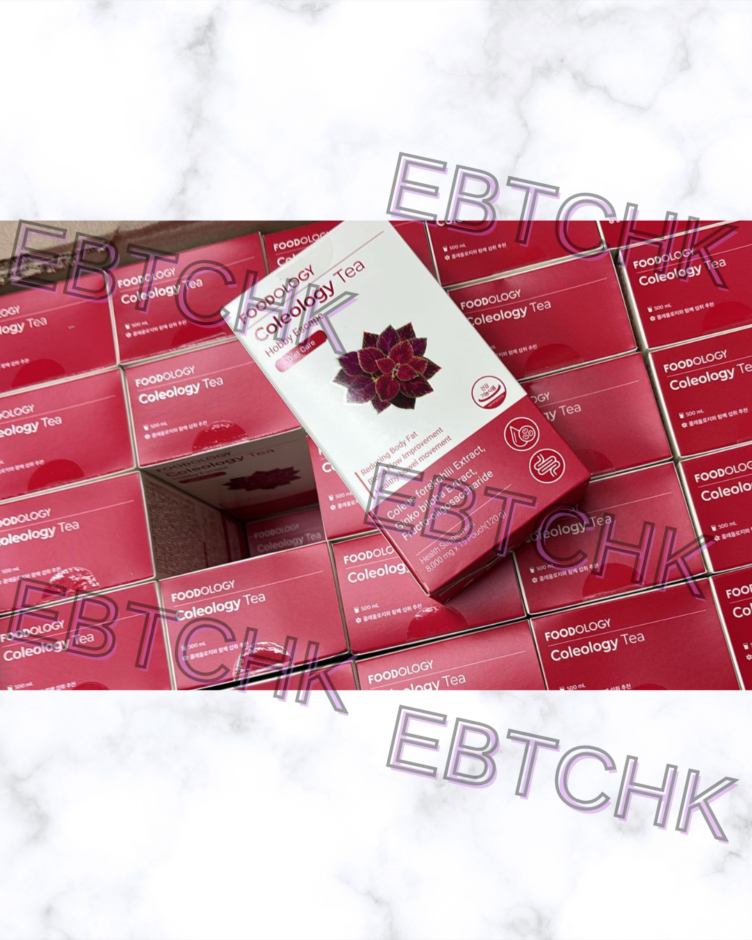 現貨🌸FOODOLOGY - Coleology Tea 五彩蘇植物纖體茶 8g x 15條 | 落單後約3-5個工作天寄出 娉婷貿易公司 Exquisite Beauty Trading Company