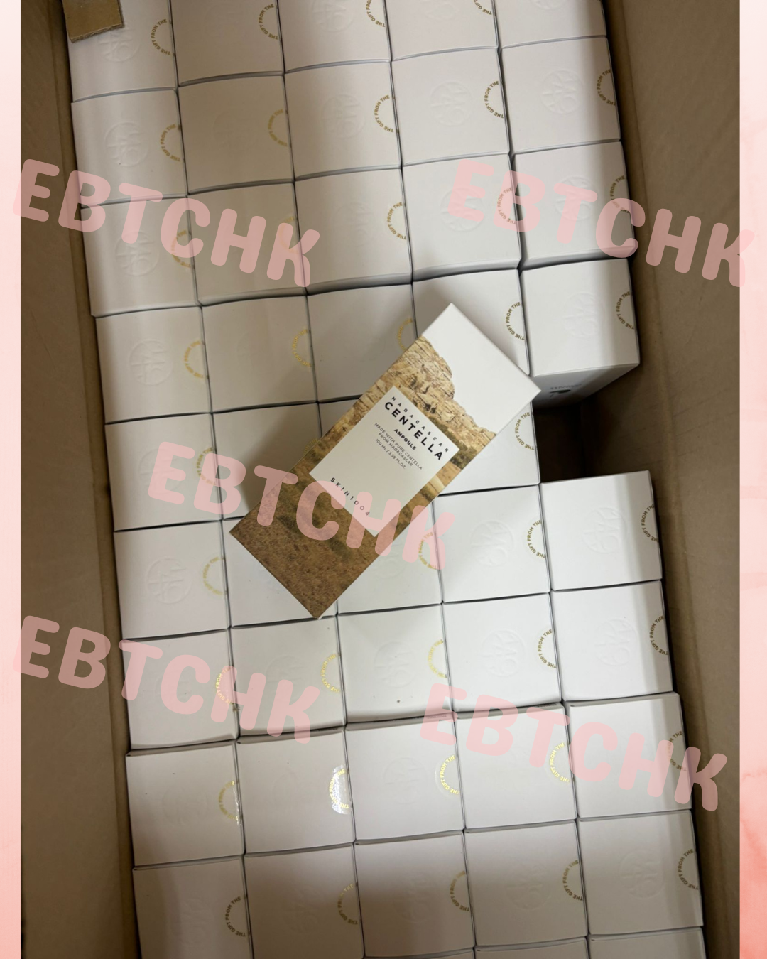 【24小時網站自助下單】現貨🌸Skin1004 馬達加斯加積雪草精華液 100ml | 落單後約3-5個工作天寄出 娉婷貿易公司 Exquisite Beauty Trading Company