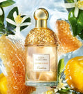 供應商現貨🌸免稅正品 🧡Guerlain 嬌蘭 花草水語白花蜜露(蜜意暖陽)女士淡香水 75ml | 落單後約3-5個工作天寄出 娉婷貿易公司 Exquisite Beauty Trading Company