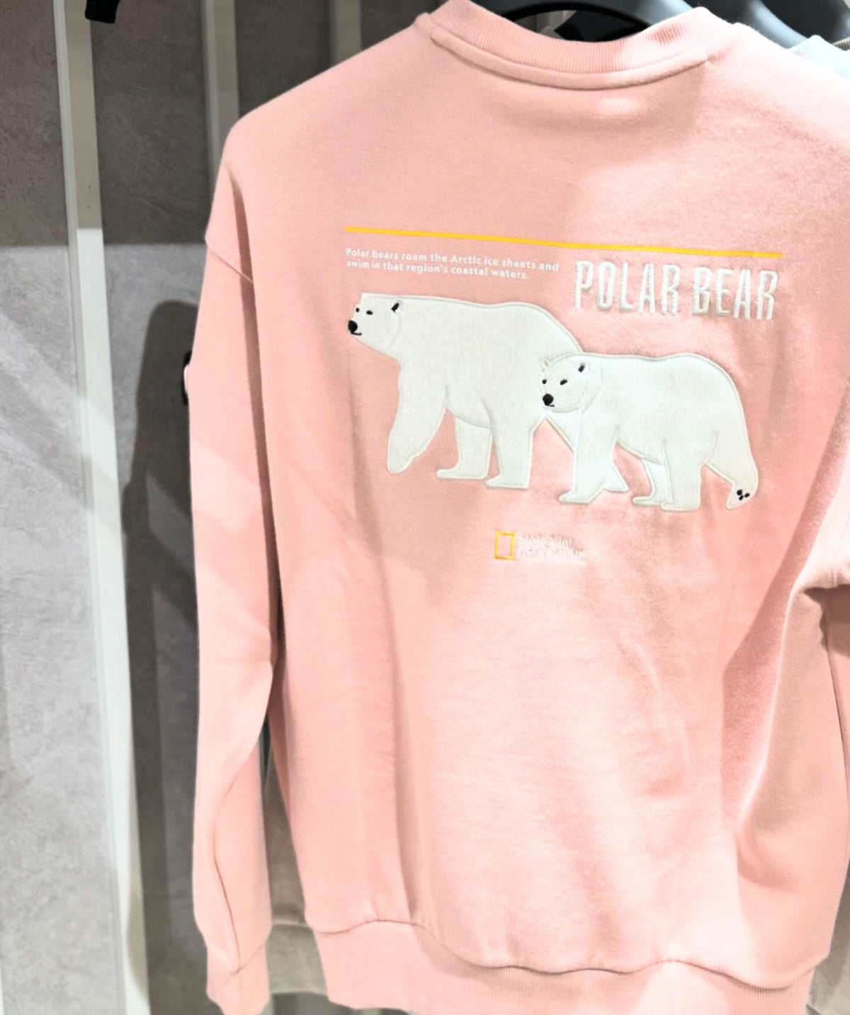 售完即止🌸韓國代購🇰🇷National Geographic sweatshirt | 預訂約2-3星期 娉婷貿易公司 Exquisite Beauty Trading Company