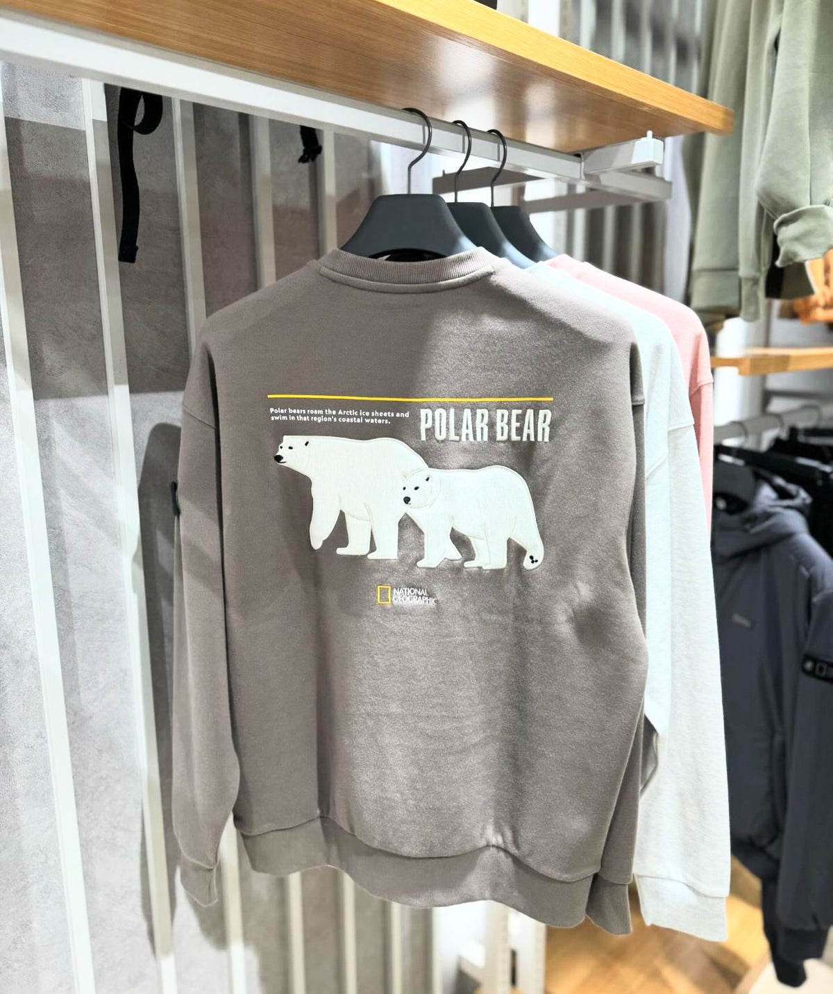 售完即止🌸韓國代購🇰🇷National Geographic sweatshirt | 預訂約2-3星期 娉婷貿易公司 Exquisite Beauty Trading Company