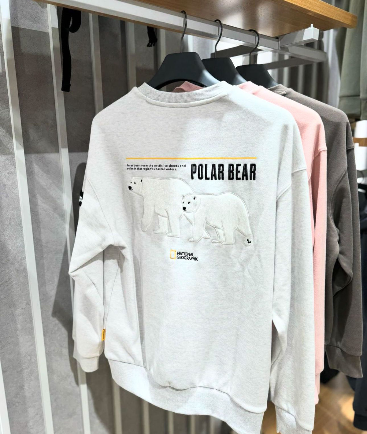 售完即止🌸韓國代購🇰🇷National Geographic sweatshirt | 預訂約2-3星期 娉婷貿易公司 Exquisite Beauty Trading Company