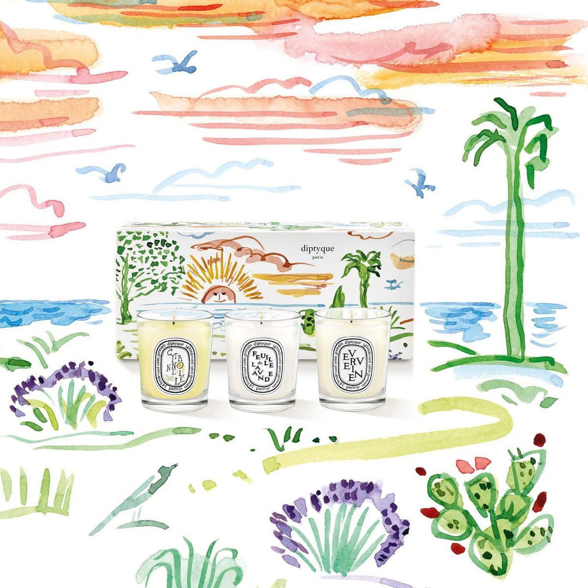 🌸Diptyque夏日暖陽系列香薰蠟燭三件套 | 預訂約1-2星期 娉婷貿易公司 Exquisite Beauty Trading Company
