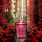 🌸Diptyque 城市限定香氛蠟燭190g | 預訂約2-3星期 娉婷貿易公司 Exquisite Beauty Trading Company