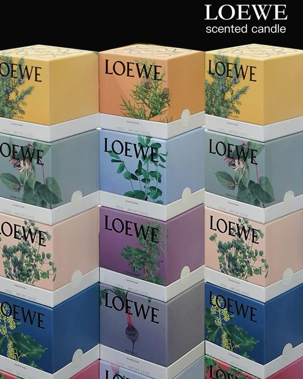 🌸🥳🥳LOEWE香薰蠟燭170g❤️❤️ | 預訂約2-3星期 娉婷貿易公司 Exquisite Beauty Trading Company