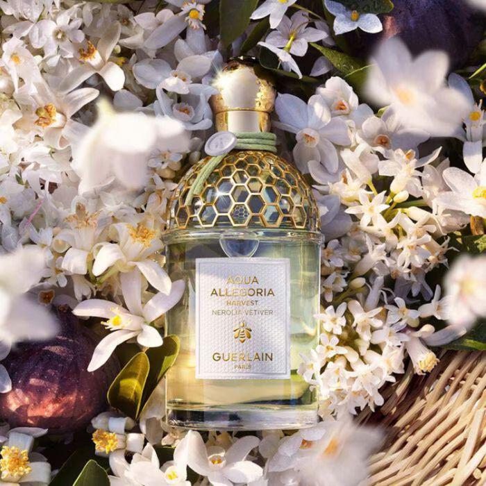🌸Guerlain 花草水語 Nerolia Vetiver琢白岩蘭橙花淡香水75ml | 預訂約2-3星期 娉婷貿易公司 Exquisite Beauty Trading Company