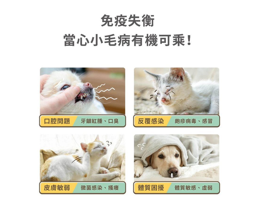 每月15/30號截單🌸汪喵免疫力提升保養粉（升級版） 50顆入 | 預訂 截單後約2-3星期到 娉婷貿易公司 Exquisite Beauty Trading Company