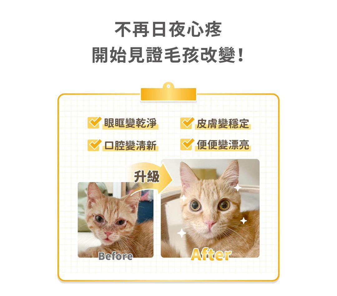 每月15/30號截單🌸汪喵免疫力提升保養粉（升級版） 50顆入 | 預訂 截單後約2-3星期到 娉婷貿易公司 Exquisite Beauty Trading Company