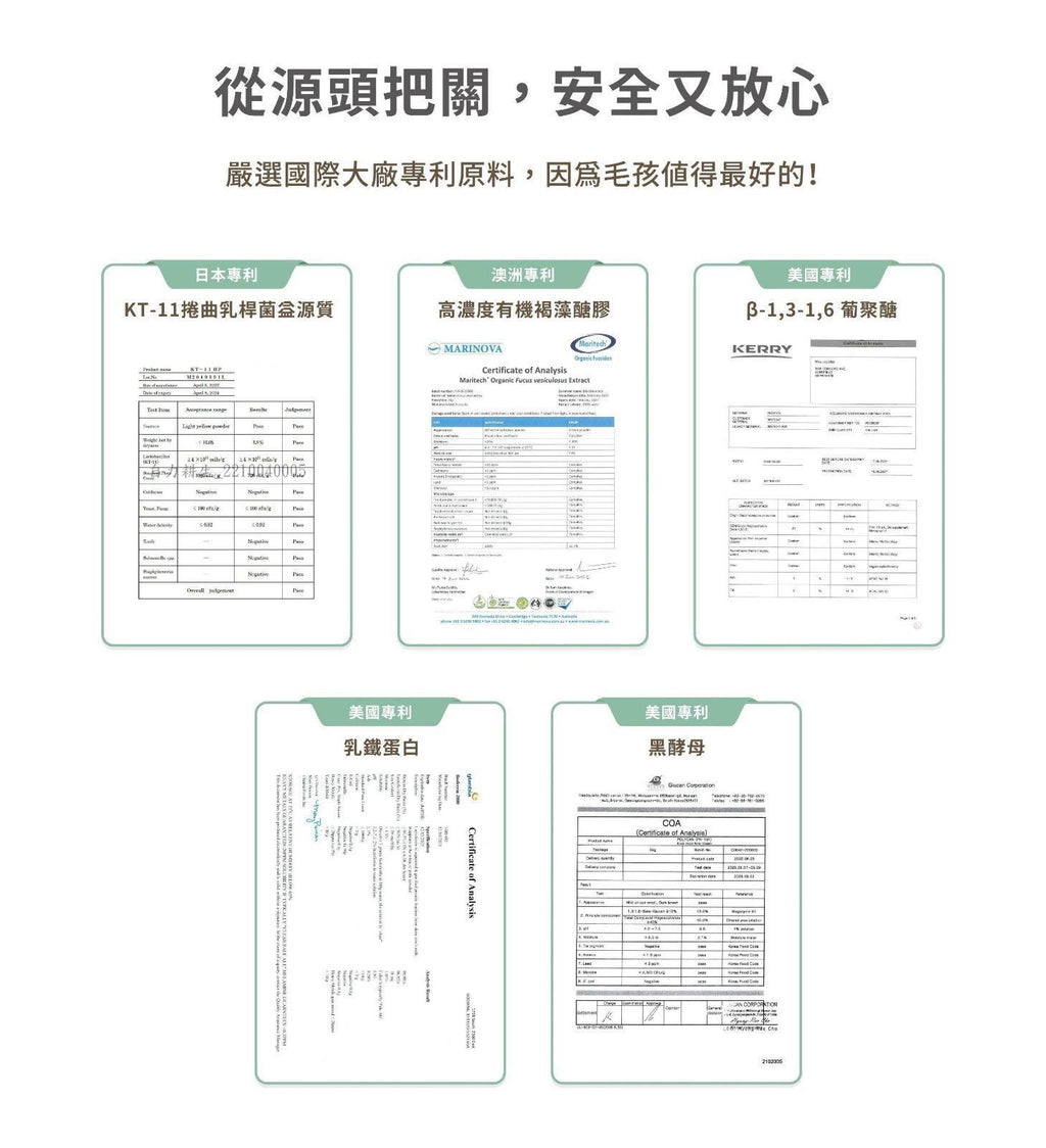 每月15/30號截單🌸汪喵免疫力提升保養粉（升級版） 50顆入 | 預訂 截單後約2-3星期到 娉婷貿易公司 Exquisite Beauty Trading Company