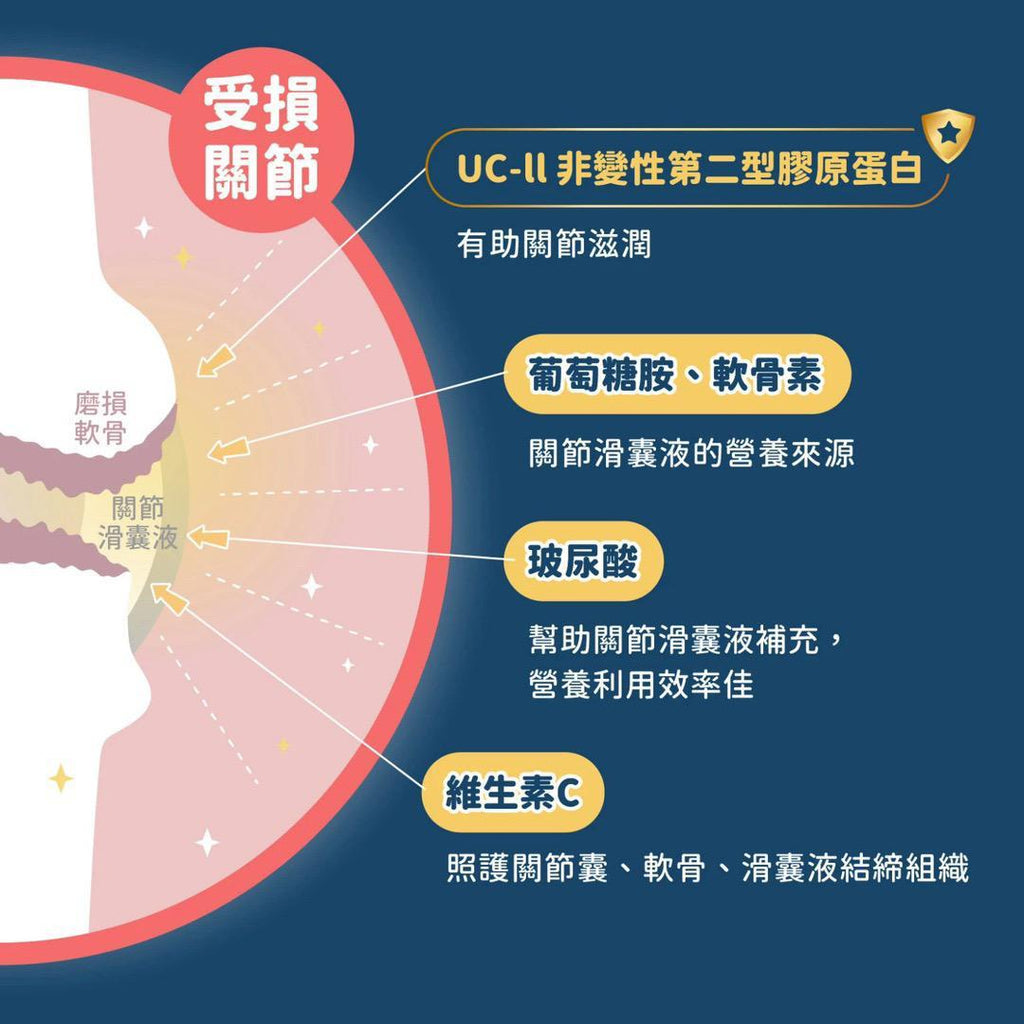 每月15/30號截單🌸汪喵星球-汪喵 UCII 關節保養粉 ( 日常保養配方 ) | 預訂 截單後約2-3星期到 娉婷貿易公司 Exquisite Beauty Trading Company