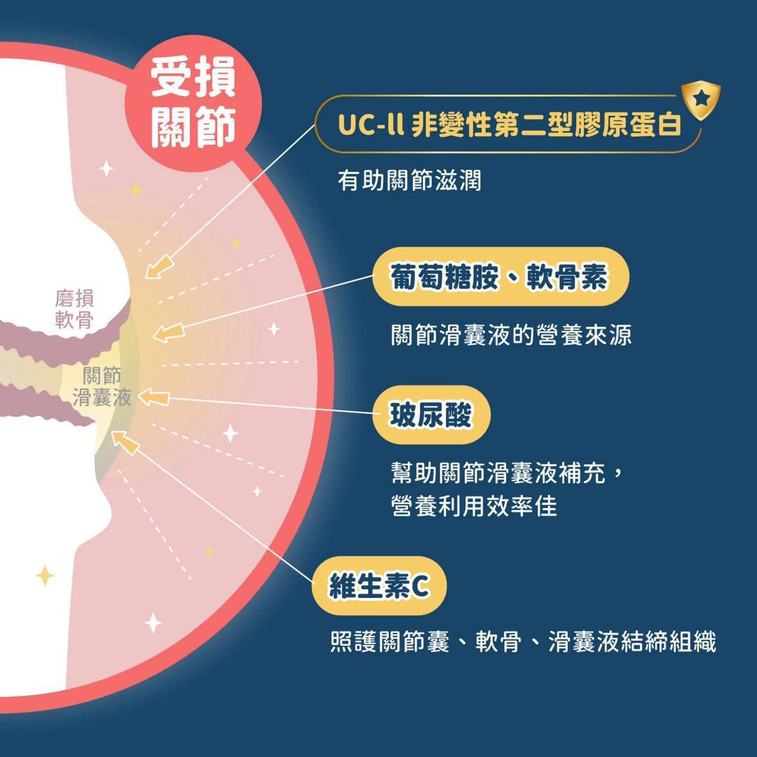 每月15/30號截單🌸汪喵星球-汪喵 UCII 關節保養粉 ( 日常保養配方 ) | 預訂 截單後約2-3星期到 娉婷貿易公司 Exquisite Beauty Trading Company