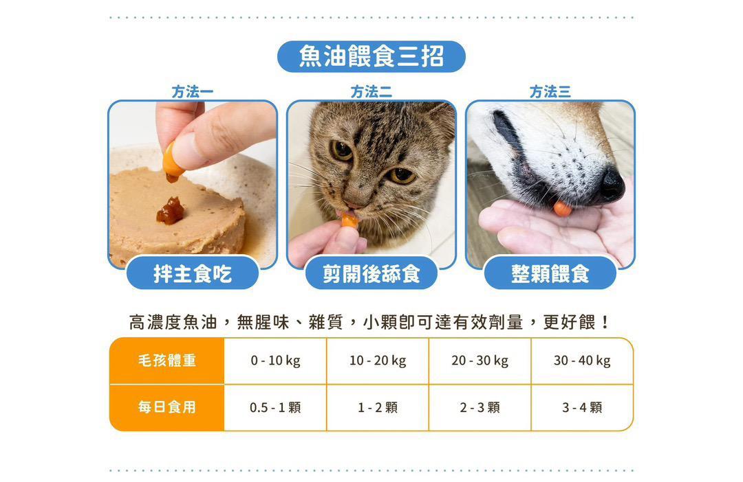 每月15/30號截單🌸汪喵85% Omega-3 機能魚油 60顆入 | 預訂 截單後約2-3星期到 娉婷貿易公司 Exquisite Beauty Trading Company