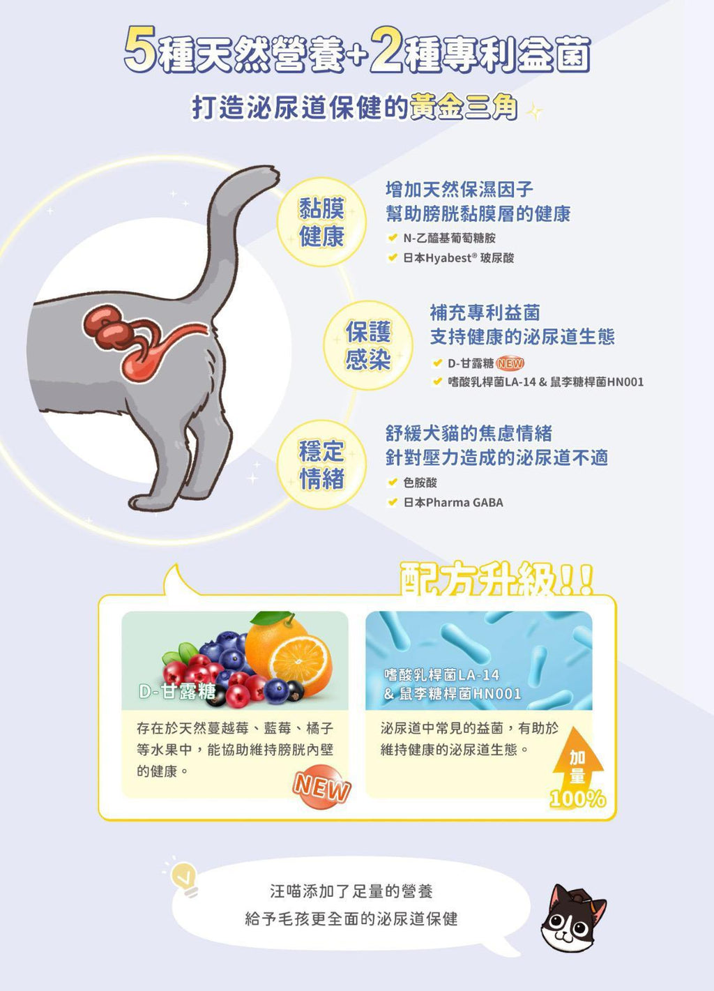 每月15/30號截單🌸汪喵星球-泌尿道健康保養粉 (升級版) 90顆入 | 預訂 截單後約2-3星期到 娉婷貿易公司 Exquisite Beauty Trading Company