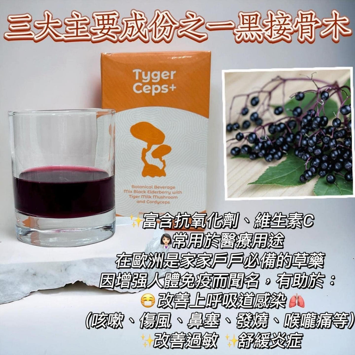 🌸TygerCeps+ 虎乳芝益肺寶 | 預訂約2星期 娉婷貿易公司 Exquisite Beauty Trading Company