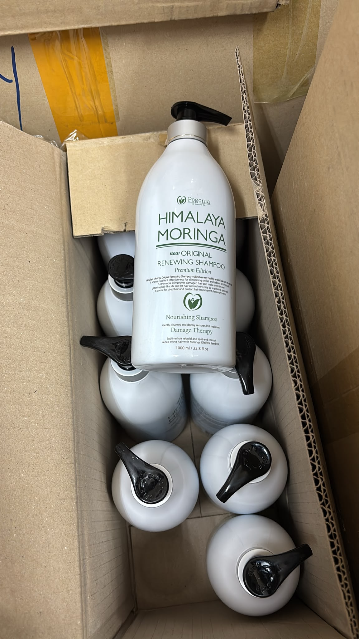 【24小時網站自助下單】現貨🌸韓國 Pogonia 健康頭皮洗發水 1000ml | 落單後約3-5個工作天寄出 娉婷貿易公司 Exquisite Beauty Trading Company