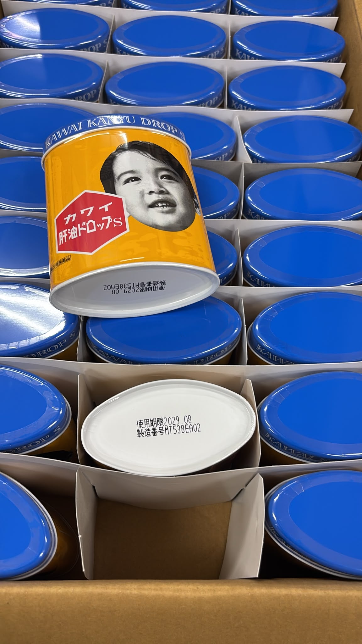 【24小時網站自助下單】現貨🌸日本Kawai河合魚肝20油軟糖S 300錠 | 落單後約3-5個工作天寄出 娉婷貿易公司 Exquisite Beauty Trading Company