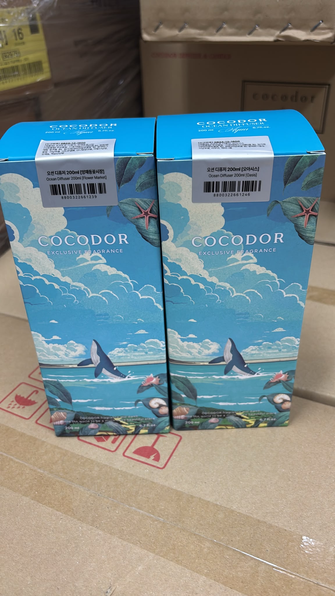 【24小時網站自助下單】現貨🌸【韓國cocod'or 夏日海洋款擴香瓶】200ml 限量款 | 落單後約3-5個工作天寄出 娉婷貿易公司 Exquisite Beauty Trading Company