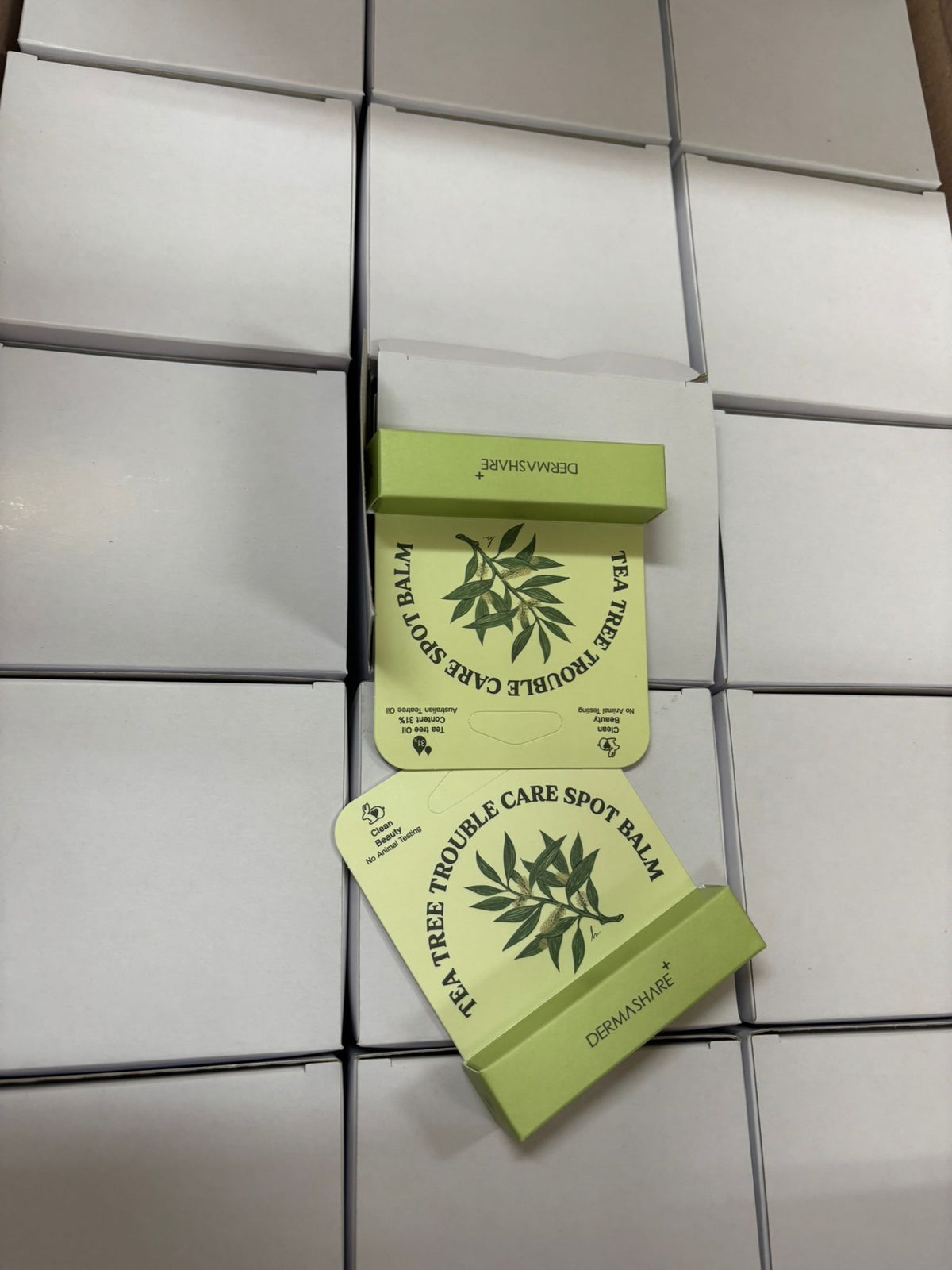 【24小時網站自助下單】現貨🌸Dermashare 茶樹煩惱護理祛斑膏 3.5g | 落單後約3-5個工作天寄出 娉婷貿易公司 Exquisite Beauty Trading Company
