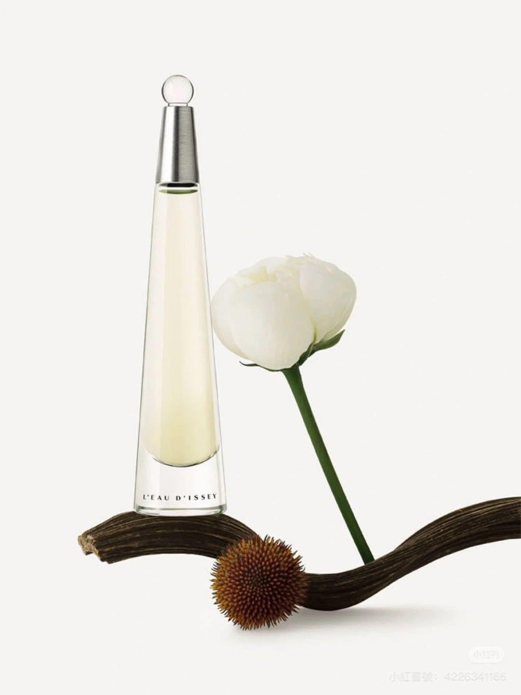 【24小時網站自助下單】🌸 ISSEY MIYAKE 三宅一生一生之水女性淡香精 100ml | 預訂約2-3星期 娉婷貿易公司 Exquisite Beauty Trading Company