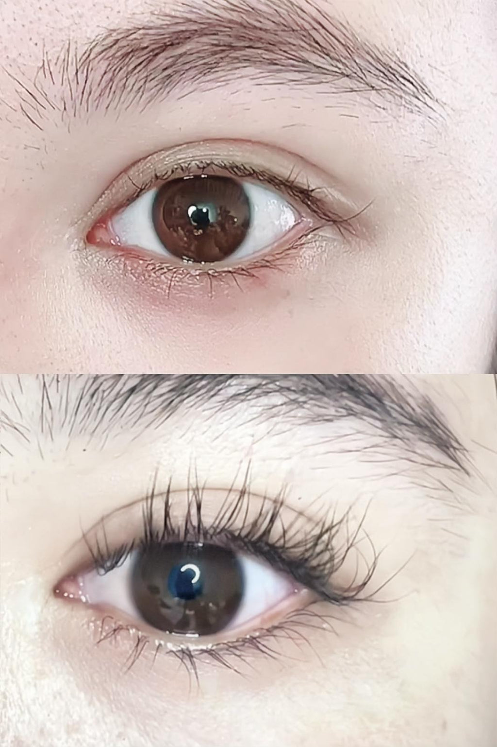 【24小時網站自助下單】🌸Hugro Eyelash Serum 肉du睫毛精華 4.5ML | 預訂約1-2星期 娉婷貿易公司 Exquisite Beauty Trading Company