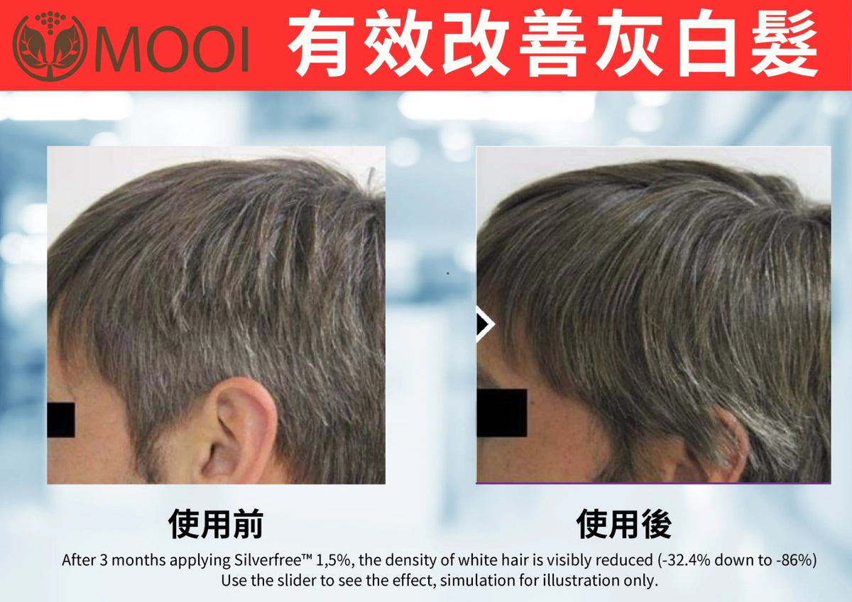 【24小時網站自助下單】🌸MOOI 密髮森洗髮露 200ML | 預訂約4-5星期 娉婷貿易公司 Exquisite Beauty Trading Company
