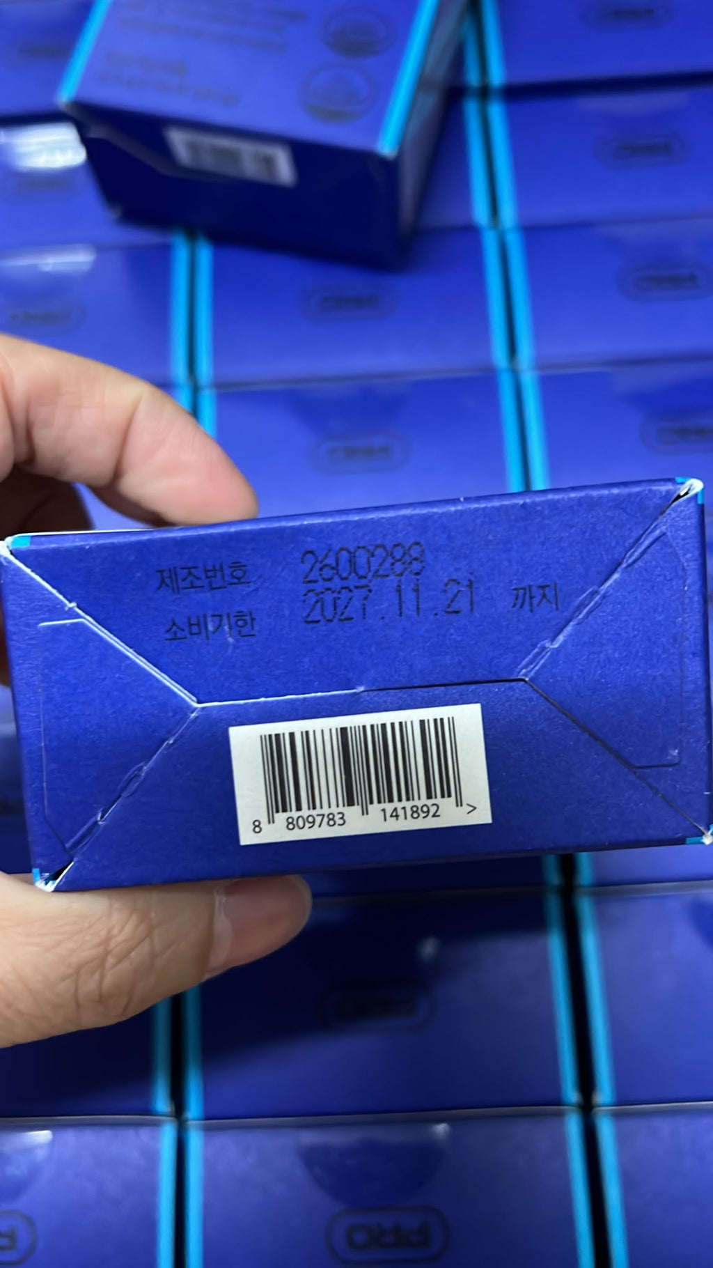 現貨 | Pro Nutrition 整腸瘦身100億益生菌 14包 娉婷貿易公司 Exquisite Beauty Trading Company