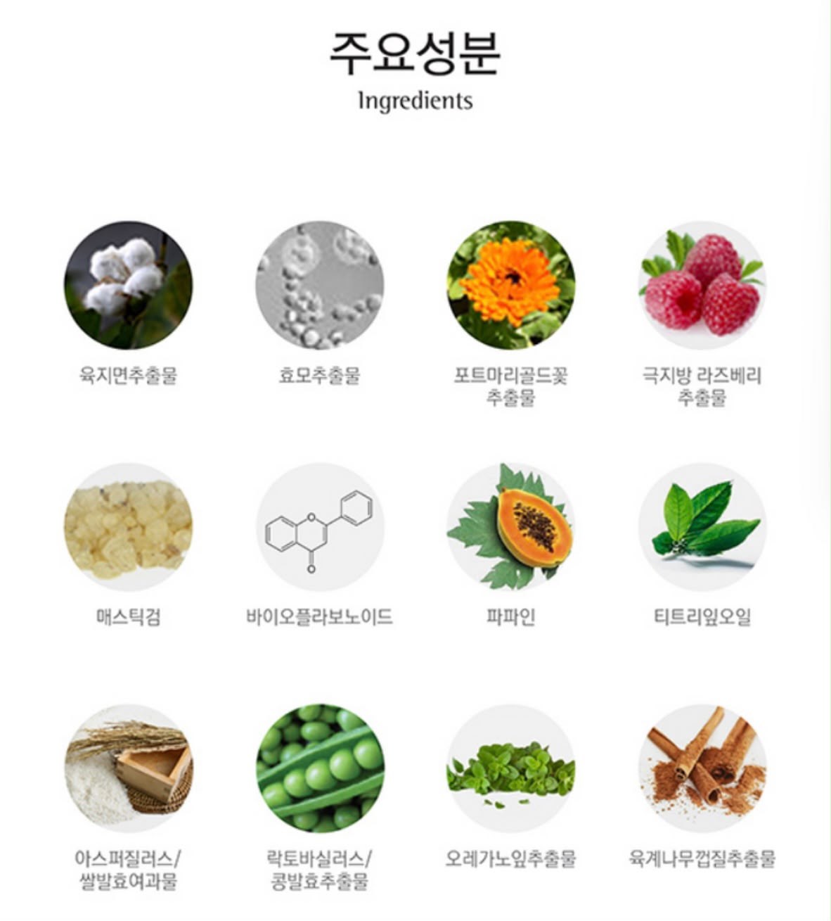 預訂 | 2026年11月5日截🥇銷售Top1️⃣ ‼️韓國專門店🇰🇷超級優惠價‼️韓國爆紅醫美✨Rene-Cell 粉狀酵素潔面粉 80g Placen Enzyme Sub-Acid Wash Powder✨ 友x賣緊$219😝🤩 | 下單後 3-4 星期到