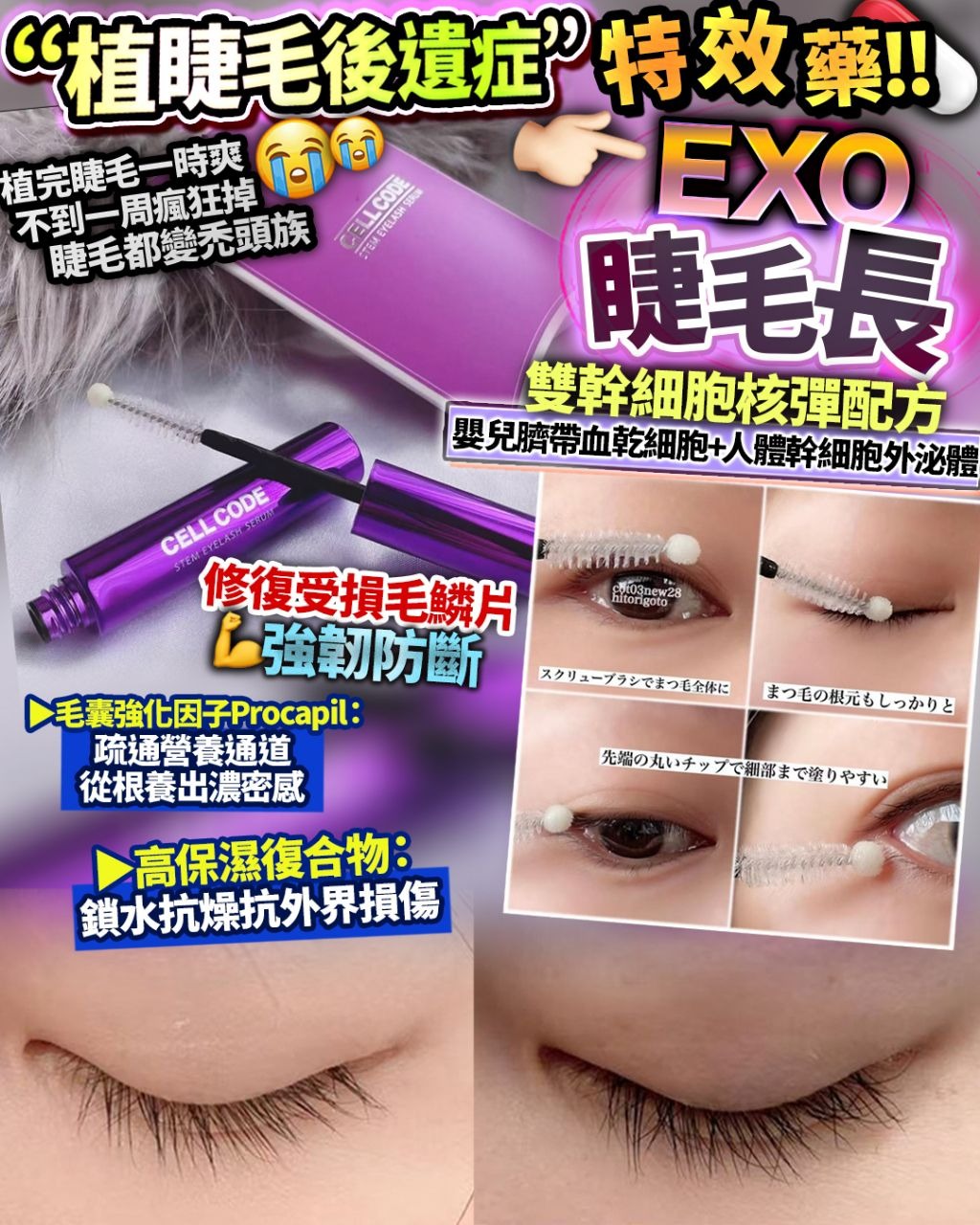 🌸Exo睫毛長 | 預訂約2星期 娉婷貿易公司 Exquisite Beauty Trading Company