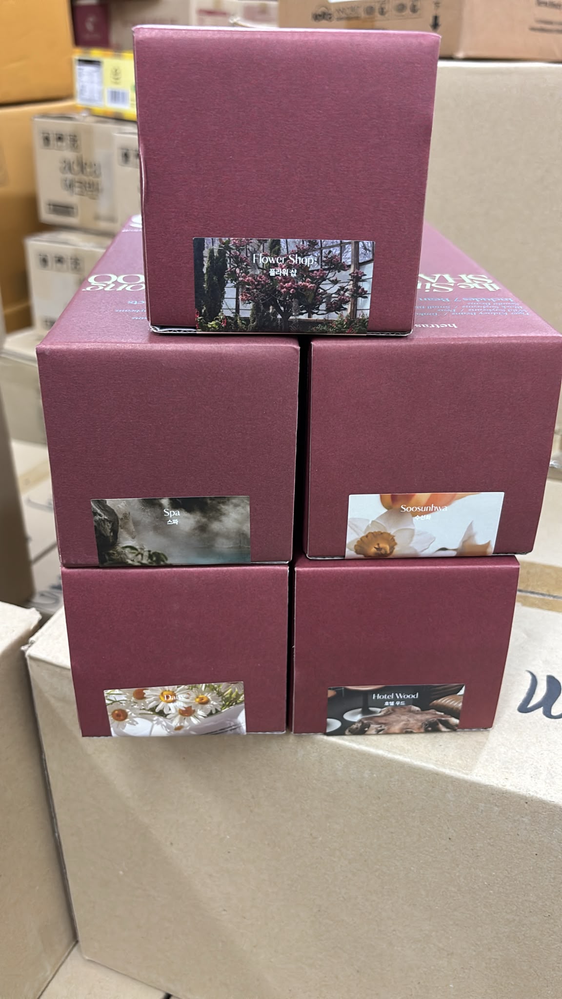 【24小時網站自助下單】現貨🌸韓國HETRAS 96%去頭皮屑防脫洗頭水/護髮素系列1013ml💆♀️ | 落單後約3-5個工作天寄出 娉婷貿易公司 Exquisite Beauty Trading Company