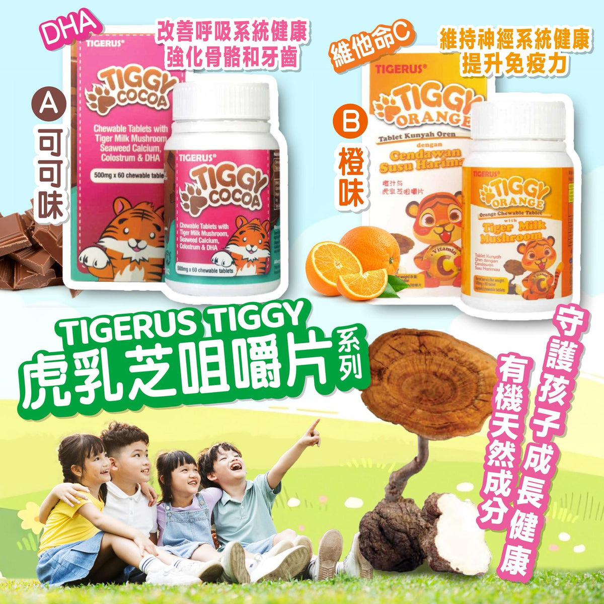 🌸馬來西亞🇲🇾TIGERUS®️ 🐯 TIGGY虎乳芝咀嚼片系列 | 預訂約5月中至尾 [價錢包順豐,結帳時揀順豐到付即可,供應商會包運費寄出] 娉婷貿易公司 Exquisite Beauty Trading Company