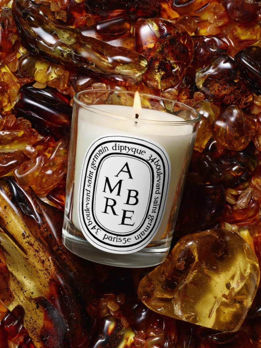 供應商現貨🌸免稅正品 Diptyque Ambre (Amber) - Extra-Large Candle 蒂普提克香氛蠟燭-琥珀70g/600g/1.5kg | 預訂 逢星期一，三返倉執貨 其後約3-5個工作天寄出 娉婷貿易公司 Exquisite Beauty Trading Company