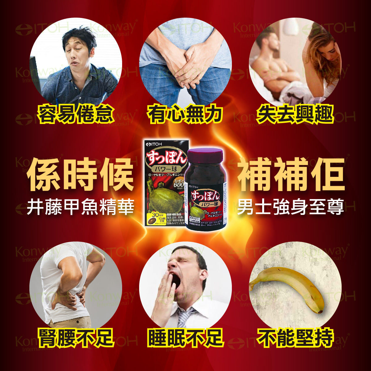 11月11日截 供應商現貨🌸❤️🔥雙11開倉優惠❤️🔥日本ITOH - 高濃縮甲魚精 | 預訂 逢星期一，三返倉執貨 其後約3-5個工作天寄出 娉婷貿易公司 Exquisite Beauty Trading Company