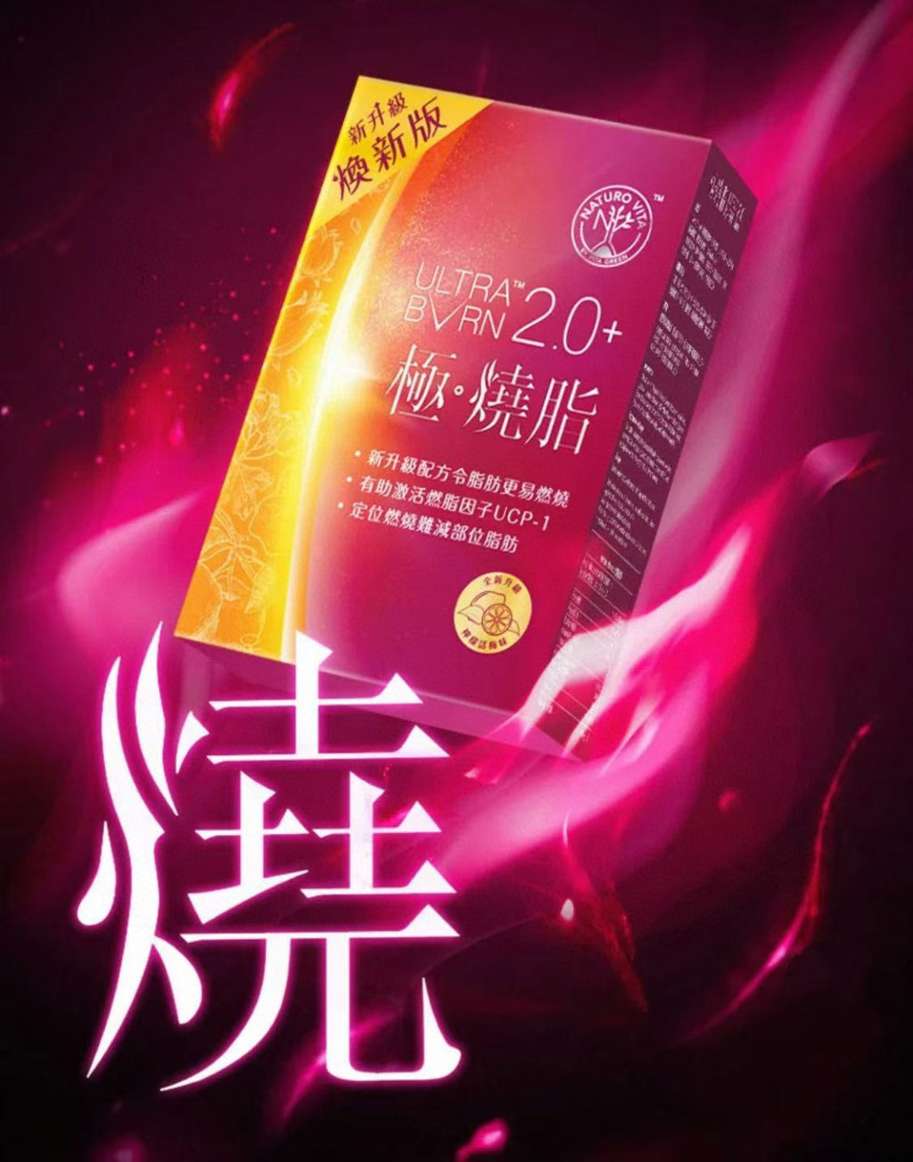 供應商現貨 | 維特健靈Naturo Vita 極燒脂 2.0升級版 娉婷貿易公司 Exquisite Beauty Trading Company